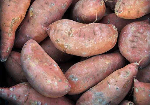 Bacefrut-Comércio de Batatas Cebolas e Frutas Lda