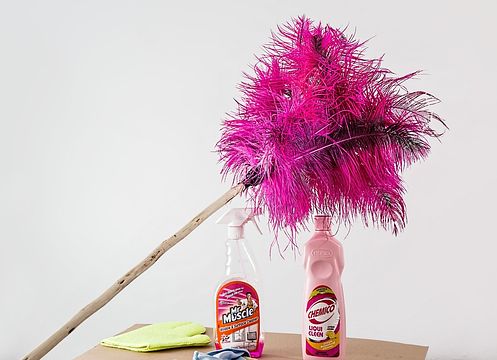 feather-duster-709124_150.jpg