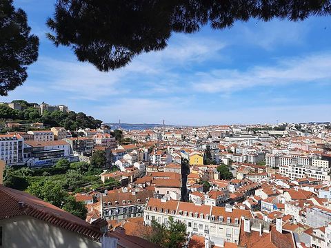Hi Lisbon Walking Tours